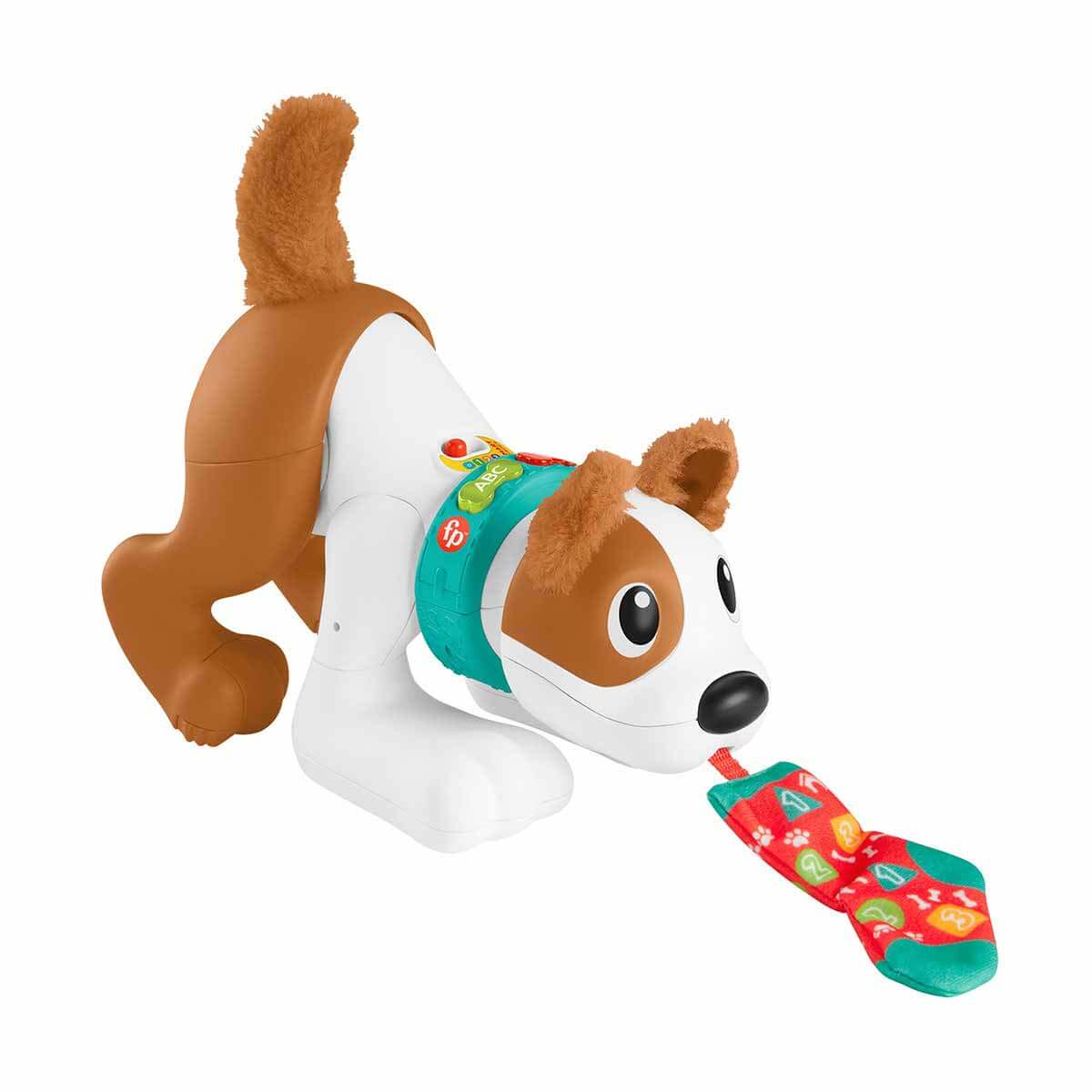 Fisher Price Emeklemeyi ve Saymayı Öğrenen Köpekçik HHH13 