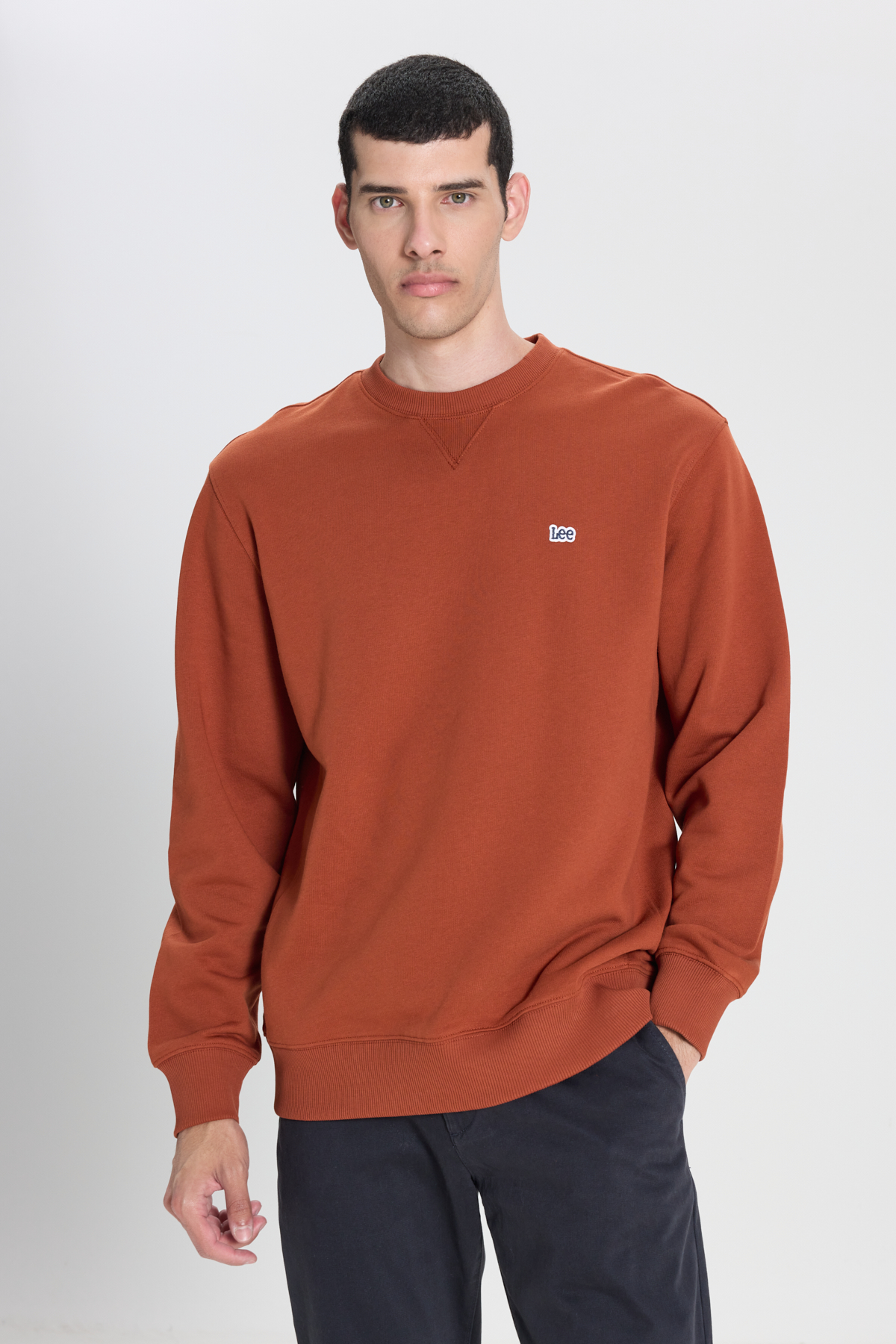 Lee Erkek Sweatshirt L81IRY970 (L81IRY970) Tarçın