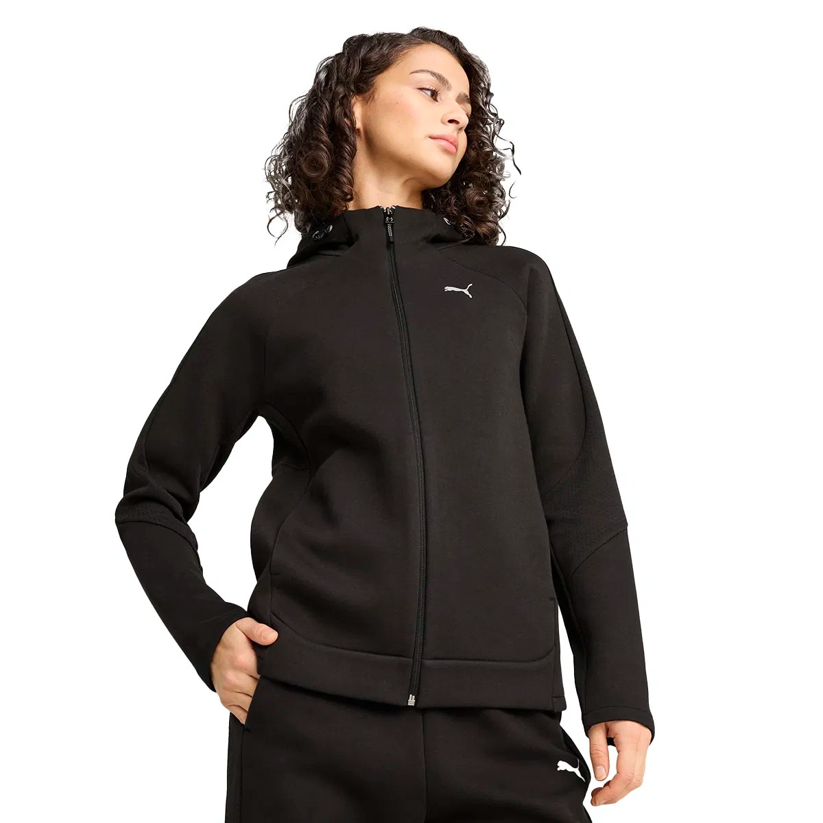 Puma Evostripe Full-Zip Hoodie Kadın Sweatshirt 68505001 (68505001) Siyah