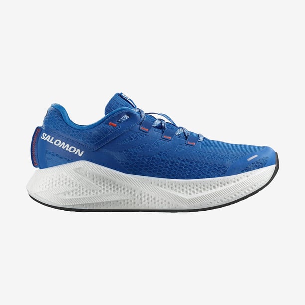 Salomon Aero Glide 3 Erkek Koşu Ayakkabısı L47810500 (L47810500) Mavi