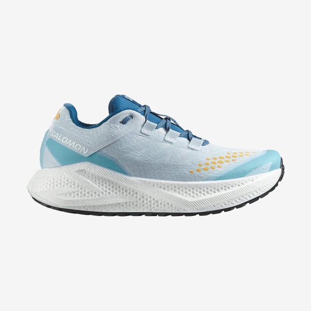 Salomon Aero Glide 3 Grvl Erkek Koşu Ayakkabısı L47811800 (L47811800) Mavi