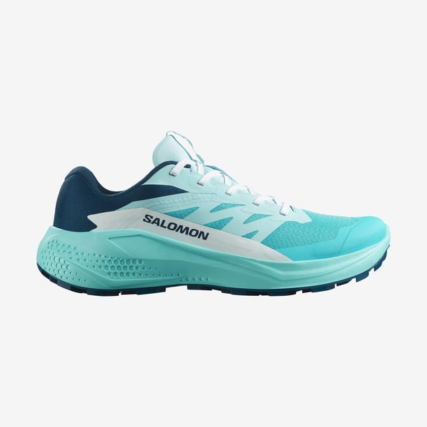 Salomon Alphaglide Kadın Koşu Ayakkabısı L47801600 (L47801600) Mavi
