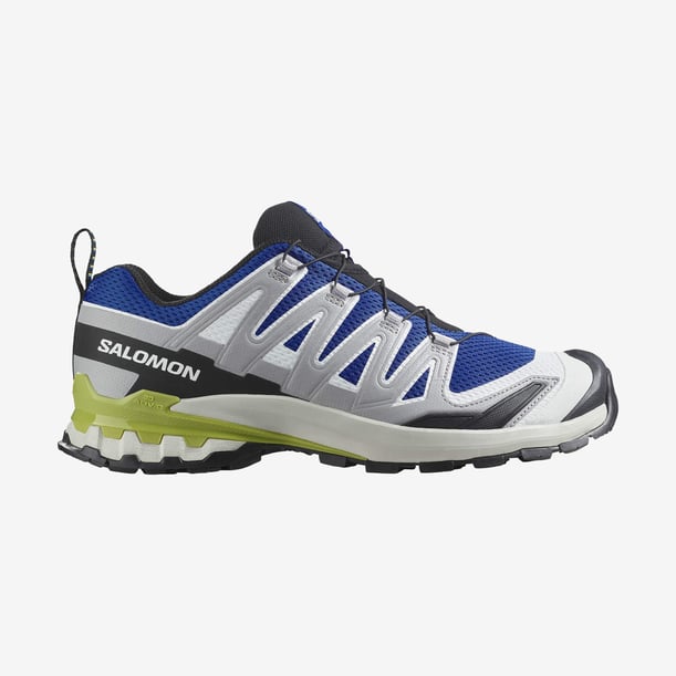 Salomon Xa Pro 3d V9 Erkek Outdoor Ayakkabı L47747600 (L47747600) Gri