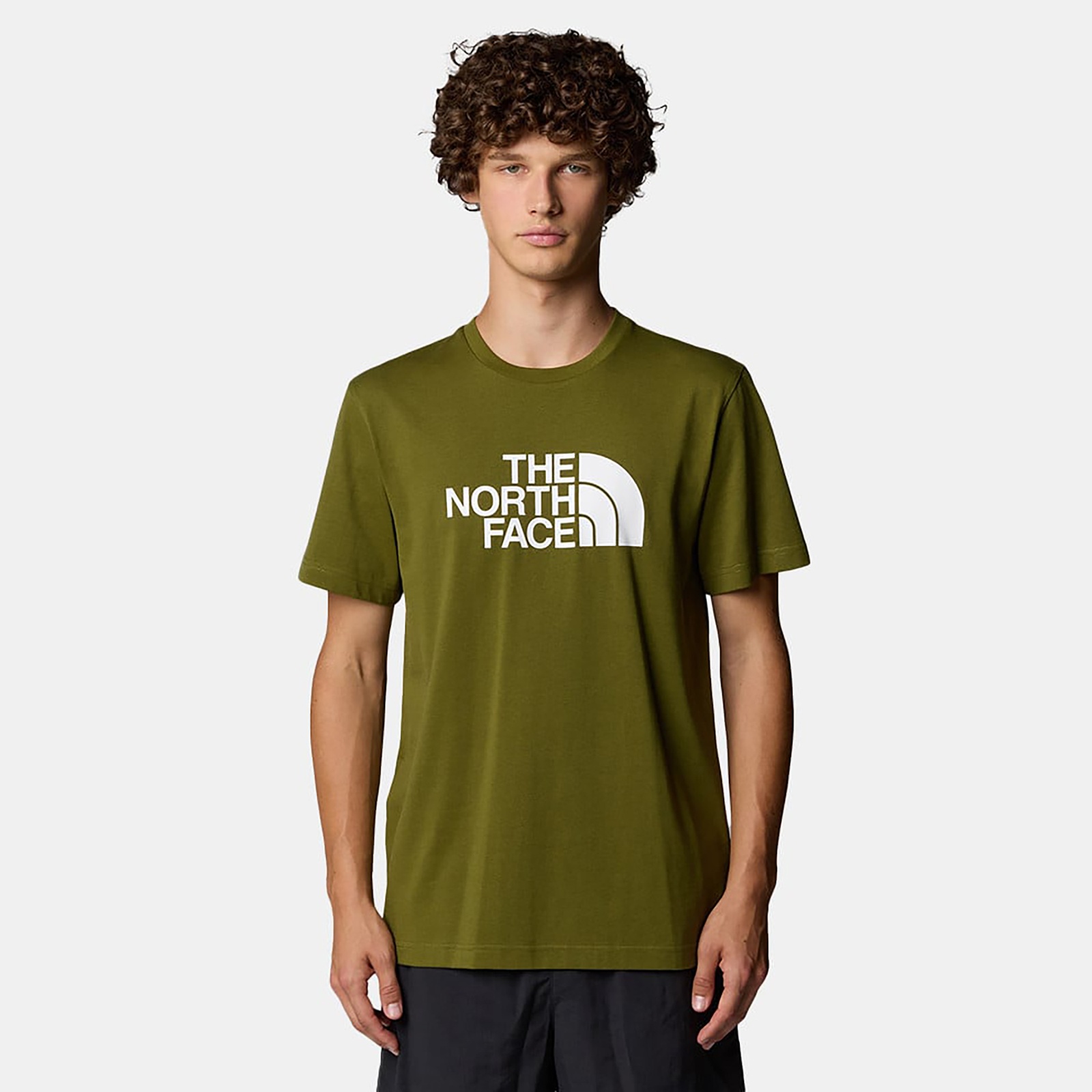 The North Face M Ss Easy Tee Erkek T-shirt NF0A8A6CTOE1 (NF0A8A6CTOE1) Yeşil