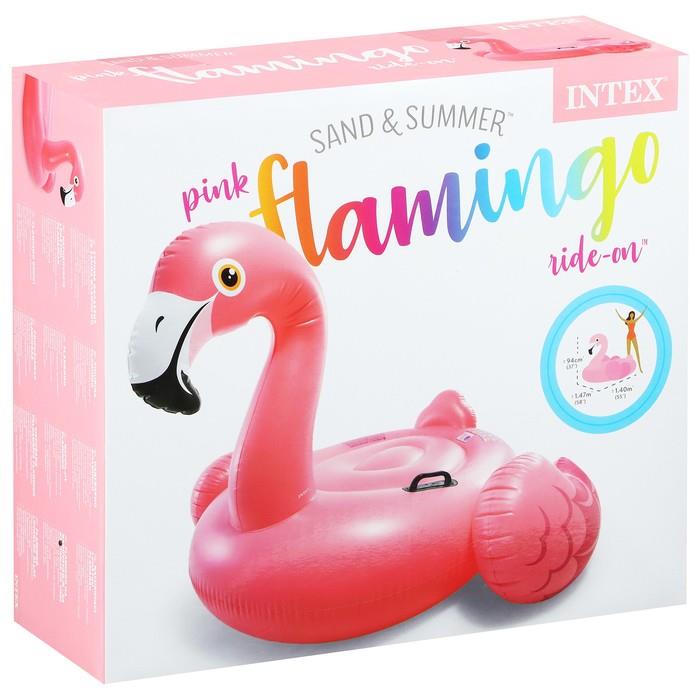 57558 -  - Flamingo Binici - Tutmacli Ada 178 Cm 57558 -  - Flamingo Binici - Tutmacli Ada 178 Cm