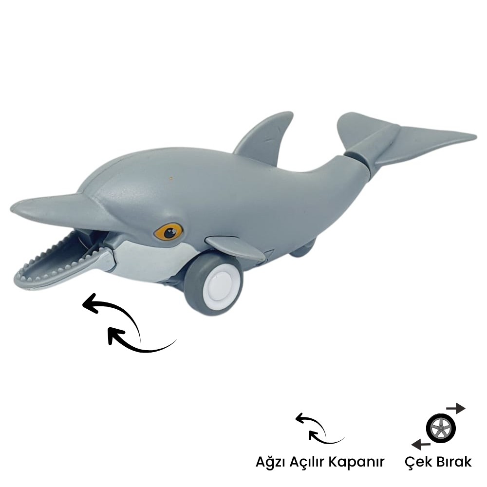 Sürtmeli Lar Serisi - H-53 - Yunus Balığı