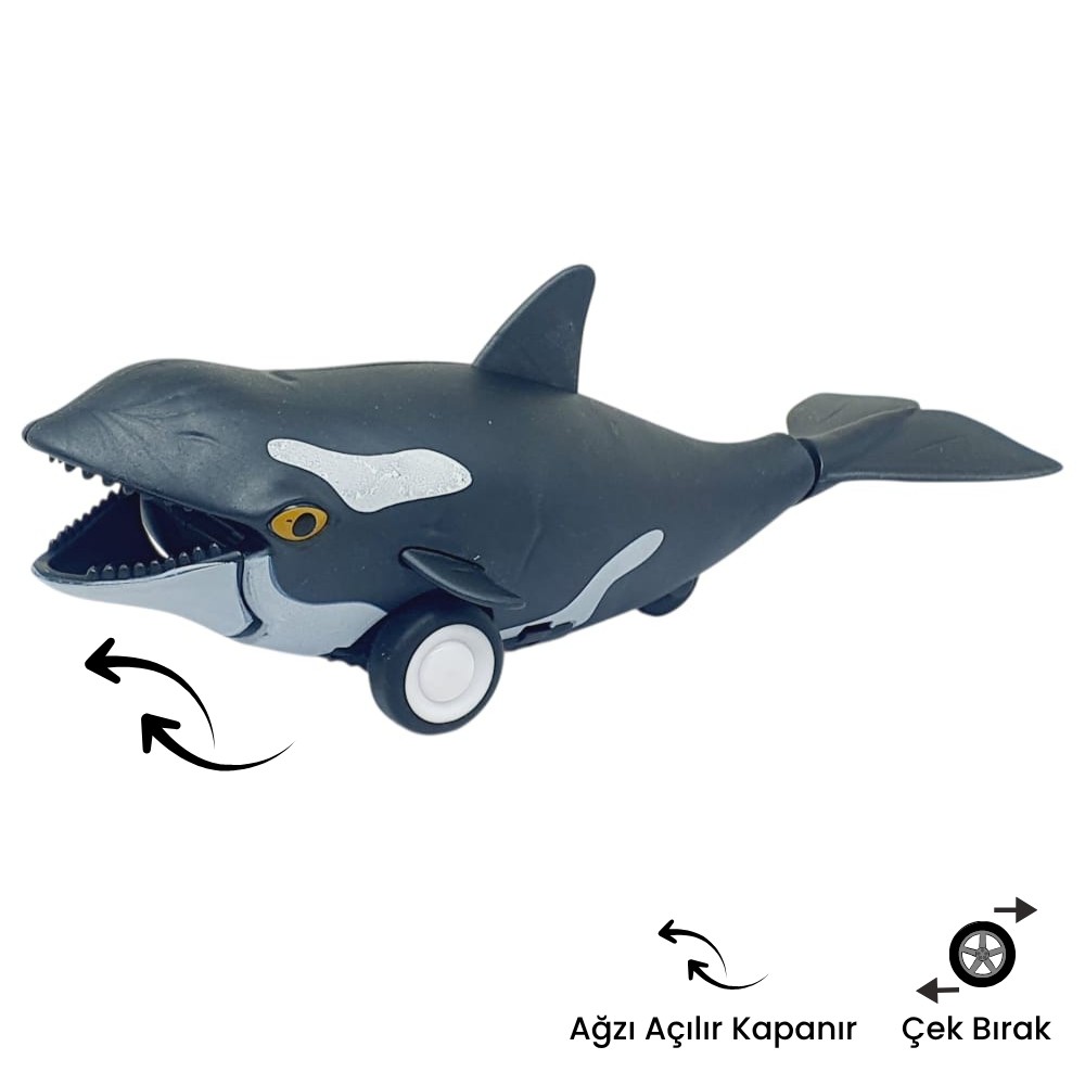 Sürtmeli Lar Serisi - H-53 - Orka Balina