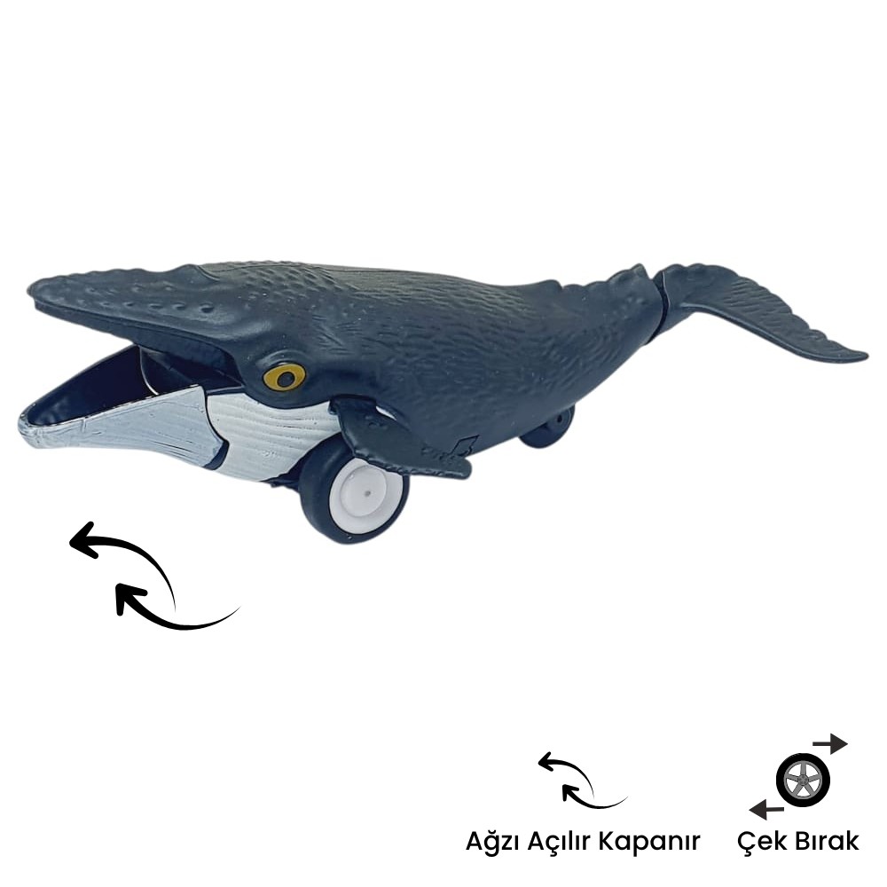 Sürtmeli Lar Serisi - H-53 - Balina