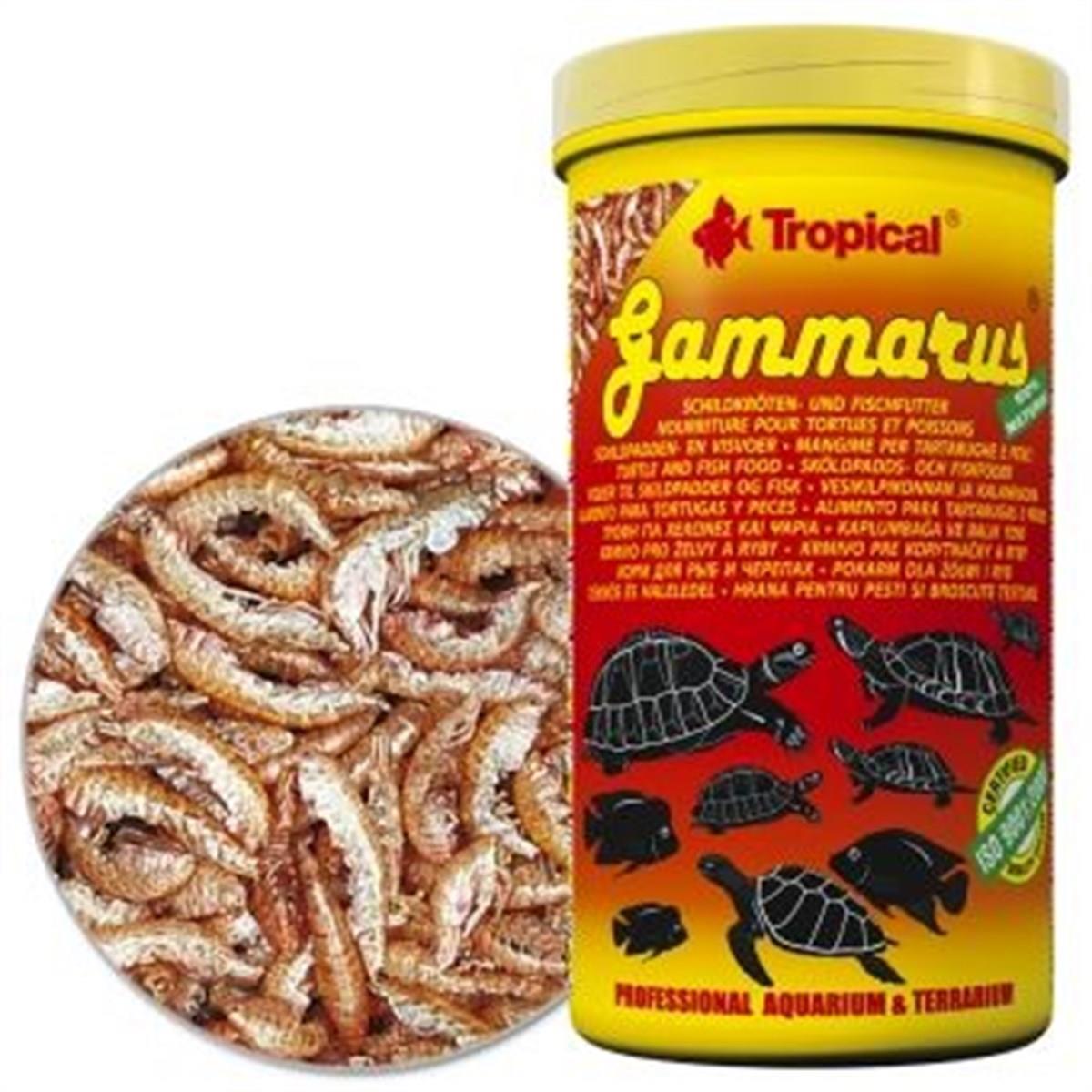 TROPİCAL GAMMARUS - KARİDES 50 GR