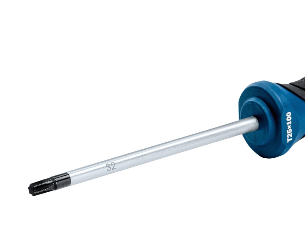 BOSCH Profesyonel T25 x 100 mm Deliksiz Torx Tornavida (1600A01V0D) ne işe yarar