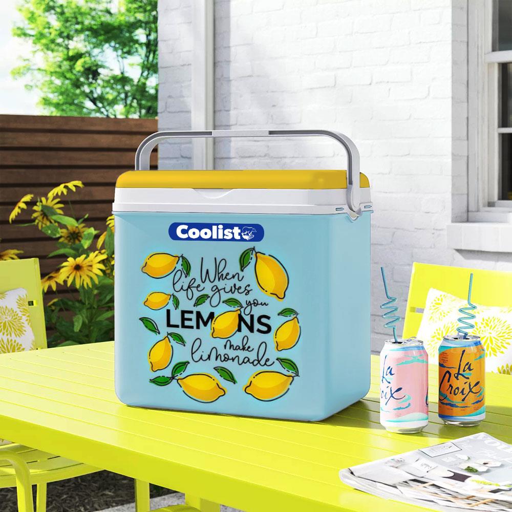 Coolist CLB30LM 30 Litre Limon Desenli Buzluk + 3 Adet 400gr. Buz Kaseti ne işe yarar
