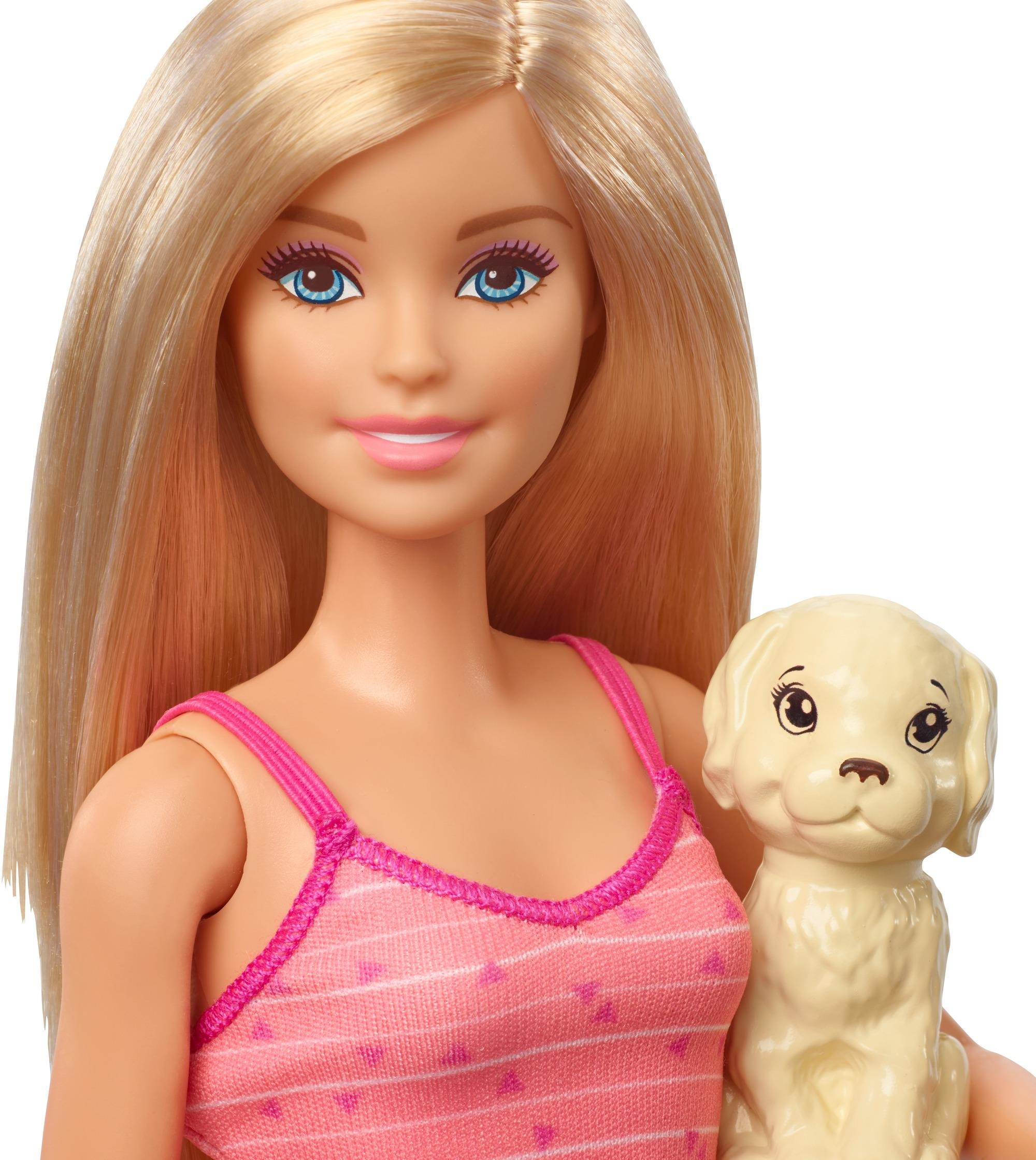 Barbie Bebek ve Aksesuarları 3 Yavru Köpekli Oyun Seti