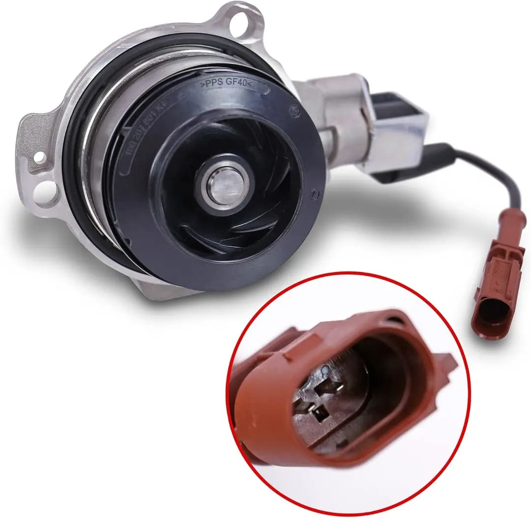 Kayış Diş Yapısı