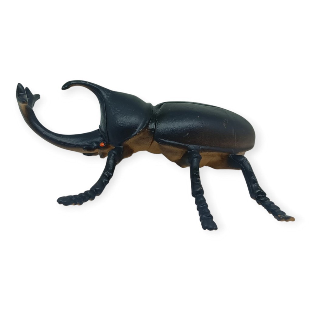2. Görsel
