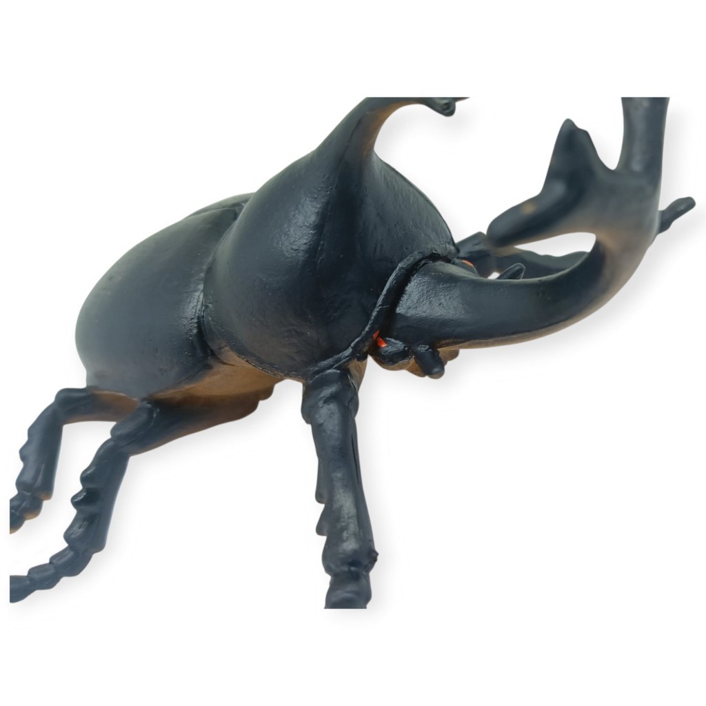 3. Görsel
