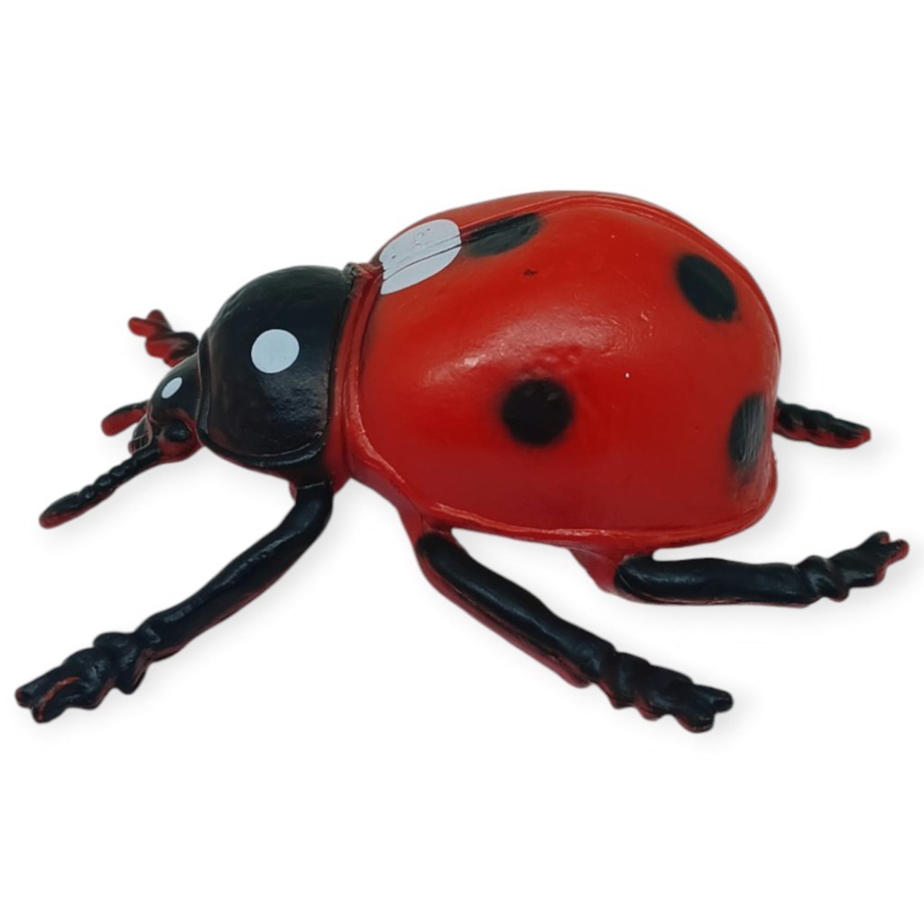 2. Görsel