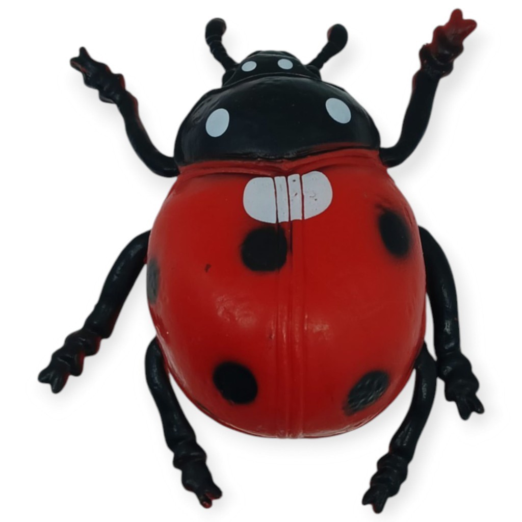 3. Görsel