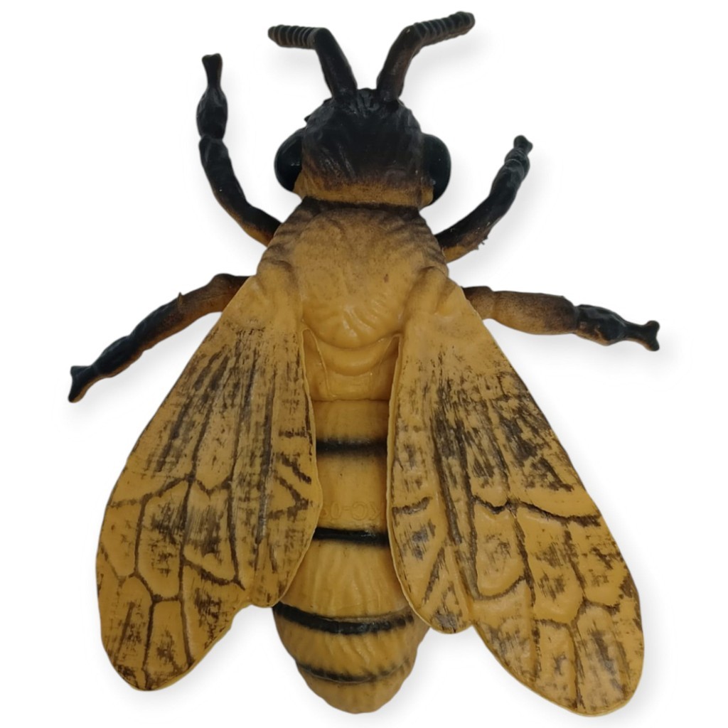 2. Görsel