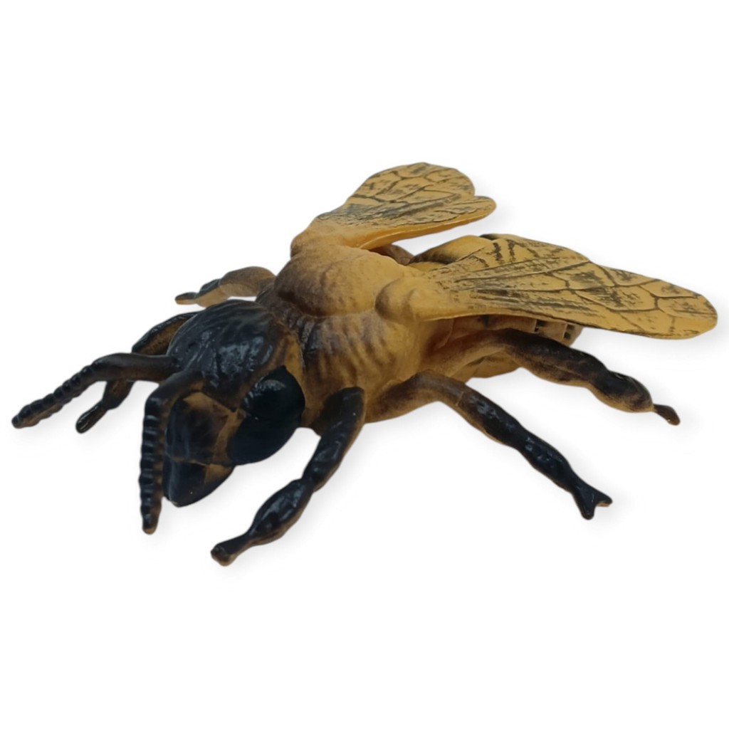 3. Görsel