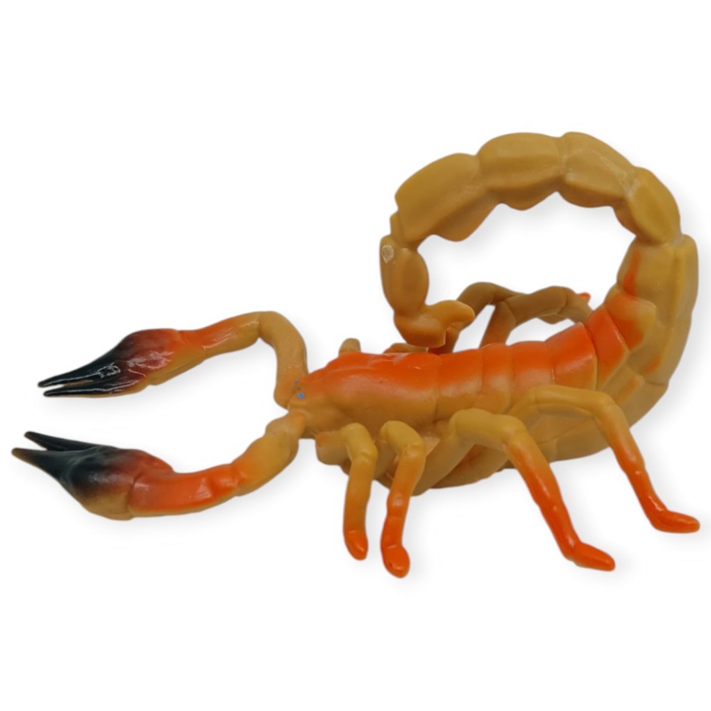 2. Görsel