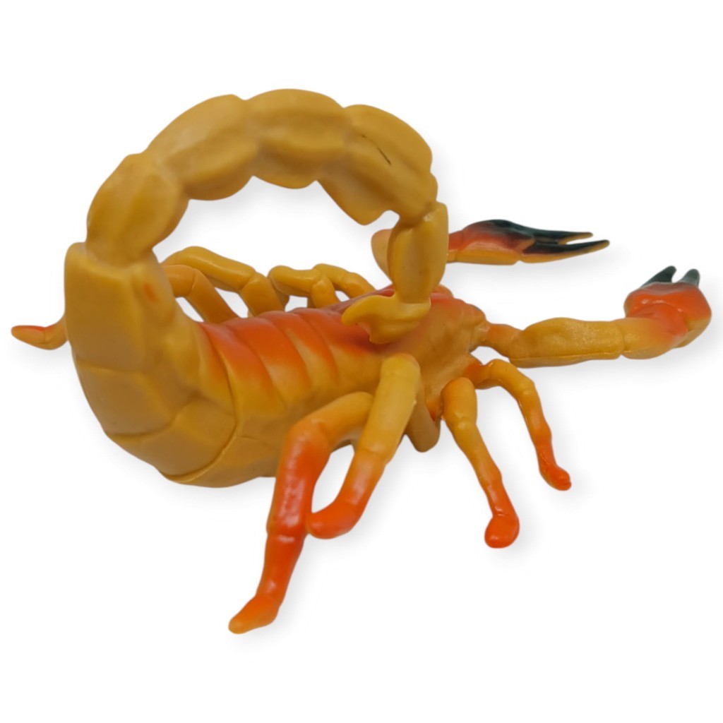 3. Görsel