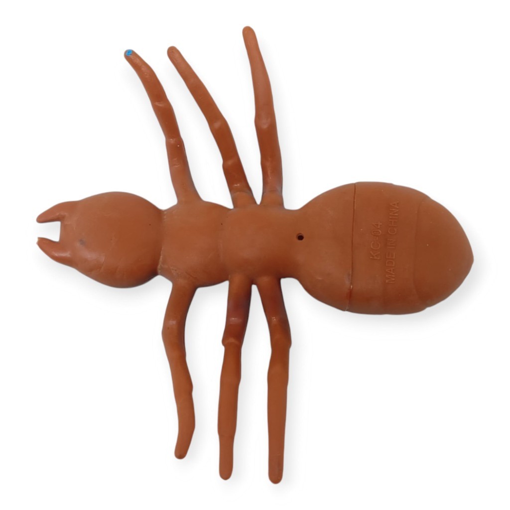 3. Görsel