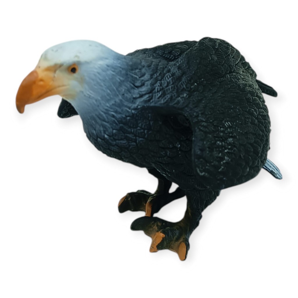 3. Görsel