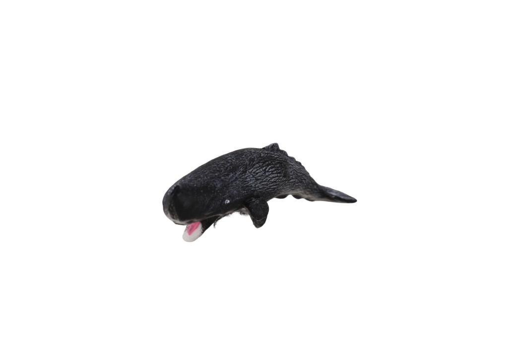 A8155-BS007  DENİZ HAYVANLARI 12