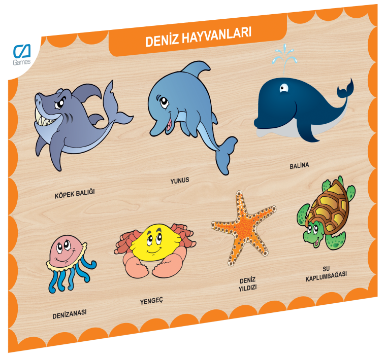 CAAHS-3212 Ahşap Deniz Hayvanları Bul-tak