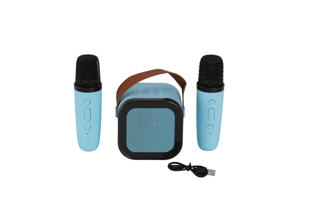 EMR-102 Kutulu 2Lİ Karaoke Mikrofon
