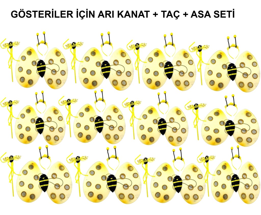 Okul Gösterileri için Arı Kanadı Seti - Etkinlik Kanatları