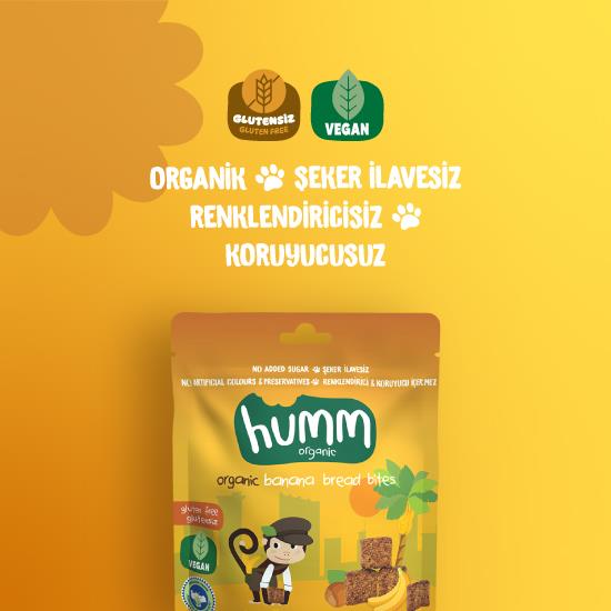 Organik Glutensiz Vegan Muzlu Kek 30 Gr