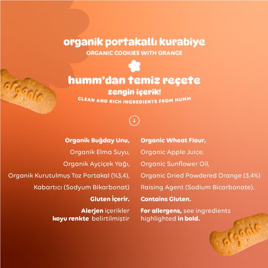 Organik Vegan Portakallı Kurabiye 55 Gr
