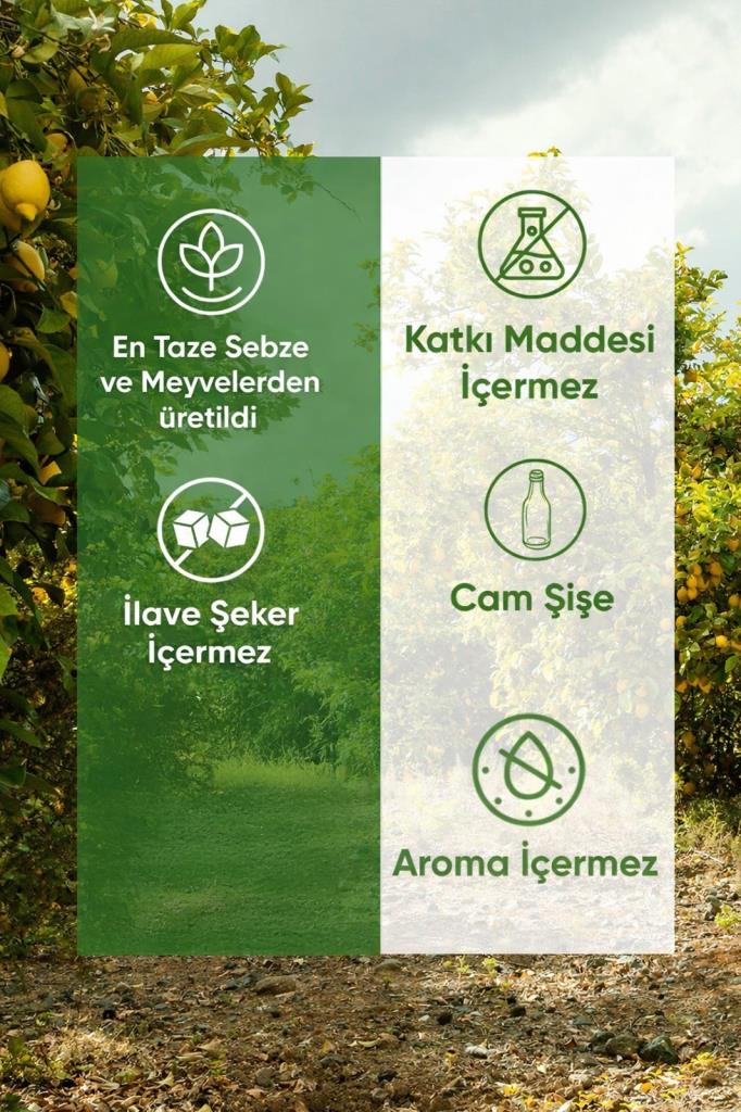 Organuca Probiotic Smoothie 250ml (Meyve-Sebze Suyu/Püresi)