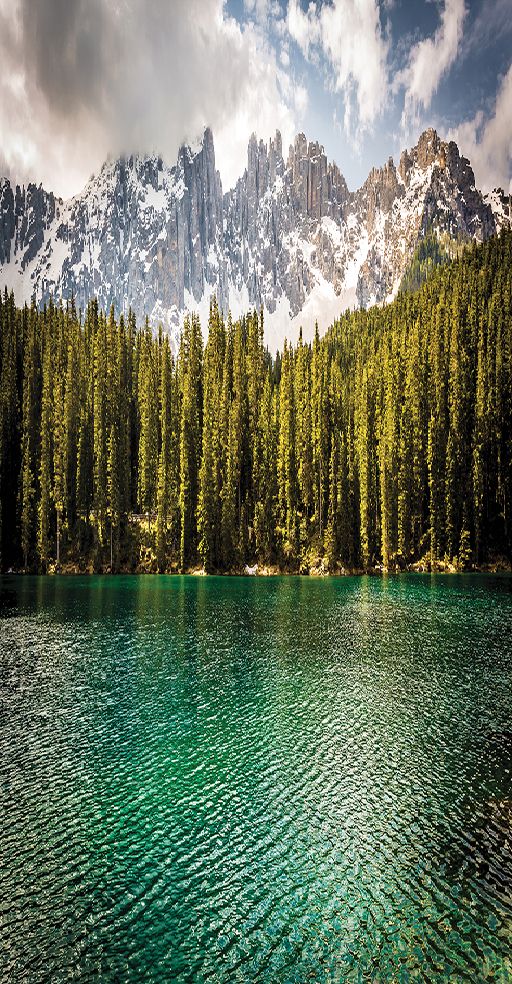 baskılı tekli fon perde alpler göl ağaçlar doğa manzara mavi yeşil