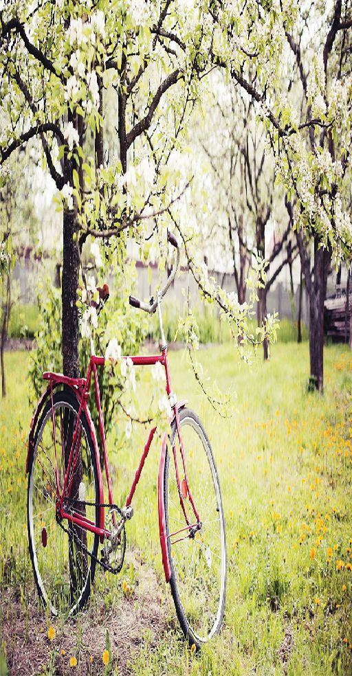 baskılı tekli fon perde ilkbahar bisiklet romantik doğa manzaralı