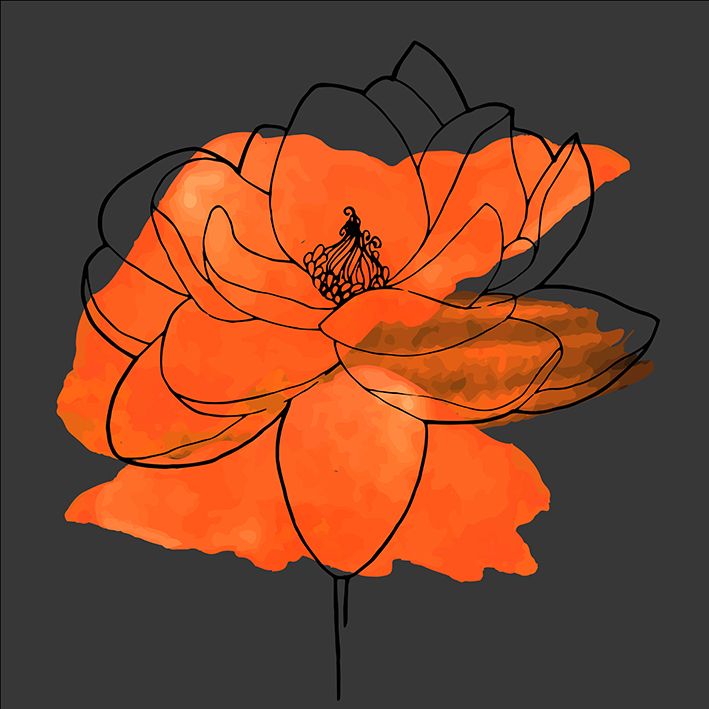 baskılı fon perde çiçek etkili turuncu renk desenli