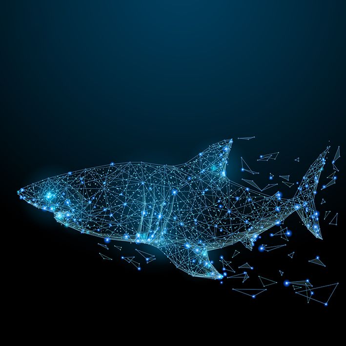 baskılı fon perde geometrik köpek balığı ışıltılı nokta desenli mavi 