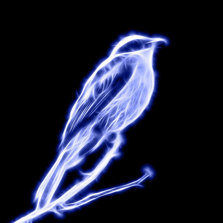 baskılı fon perde ışık çizgili kuş desenli mavi 