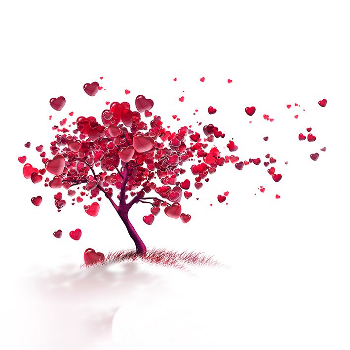 baskılı fon perde kalp ağaç desenli kırmızı pembe 