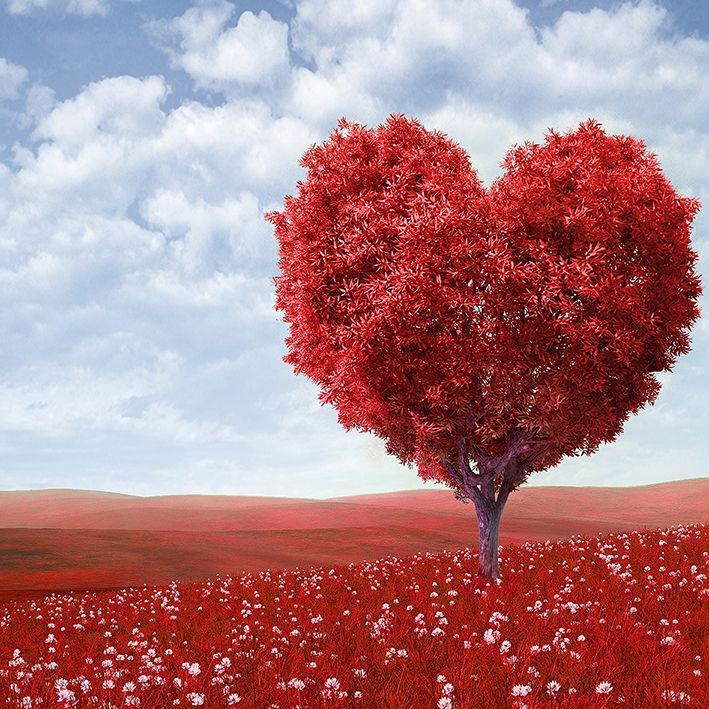 baskılı fon perde kırmızı aşk temalı kalpli ağaç desenli 