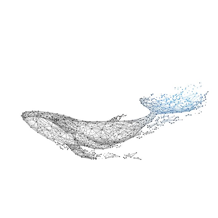 baskılı fon perde mavi balina nokta çizgi desenli 