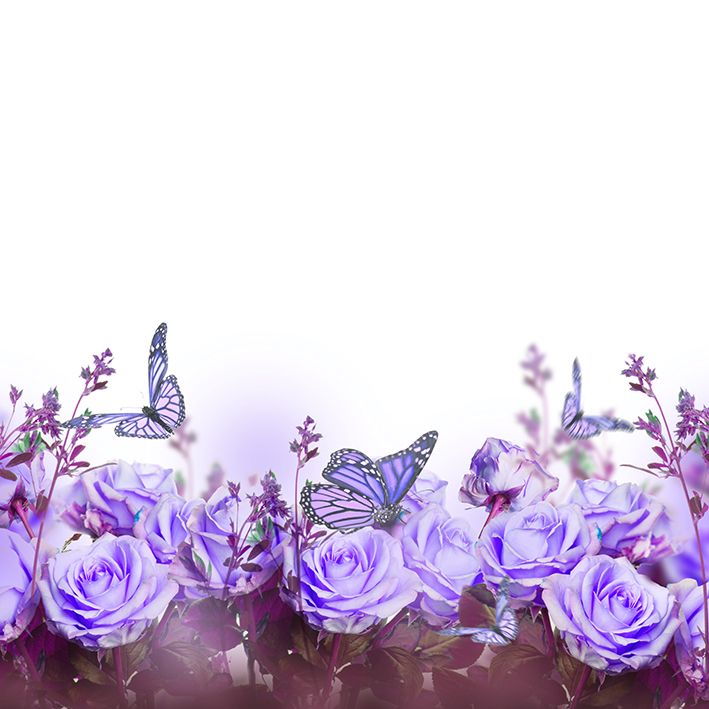 baskılı fon perde mor gül ve kelebek etkili bahar çiçeği desenli