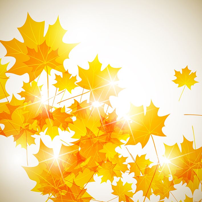 baskılı fon perde parıltılı altın sonbahar yaprak desenli 