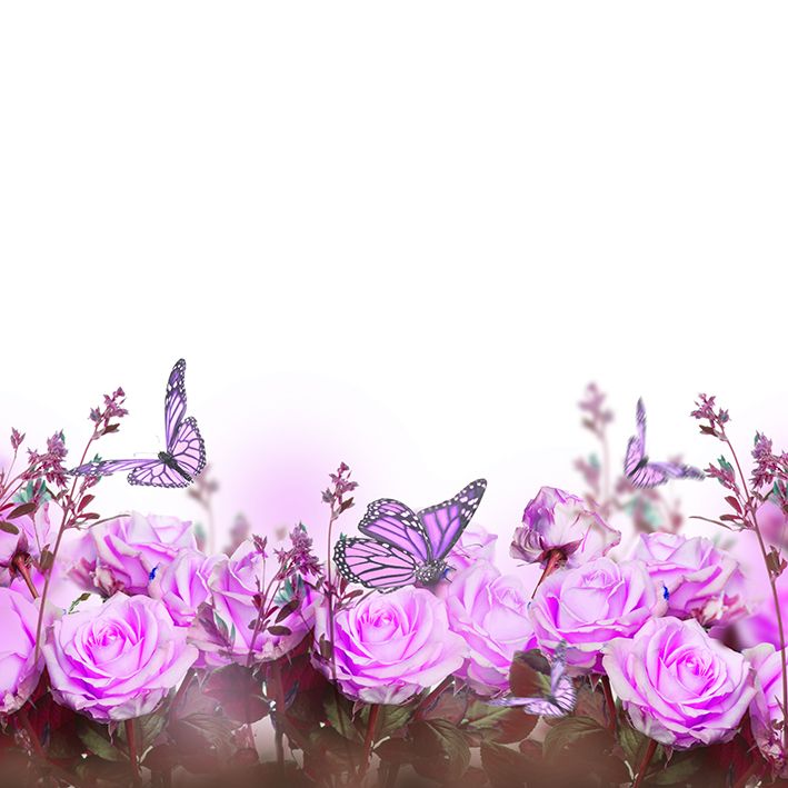 baskılı fon perde pembe gül ve kelebek etkili bahar çiçeği desenli