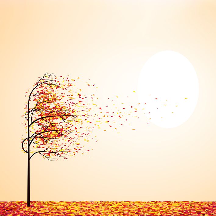 baskılı fon perde rüzgar sonbahar ağaç desenli renkli 
