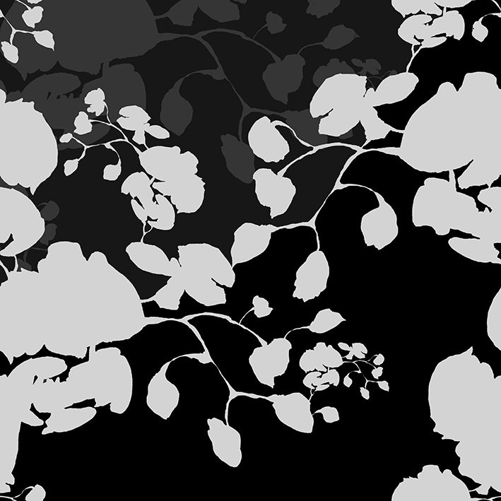 baskılı fon perde siyah zeminli kremli çiçekler desenli