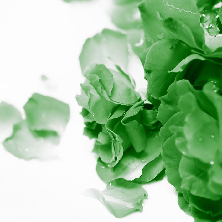 baskılı fon perde su damlası etkili yeşil gül desenli