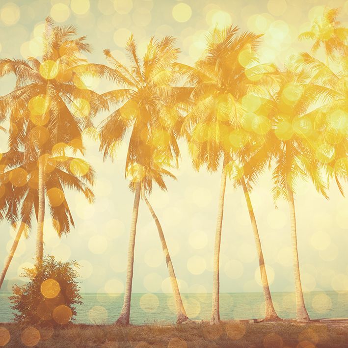baskılı fon perde tropik sahilde palmiye ağaç desenli