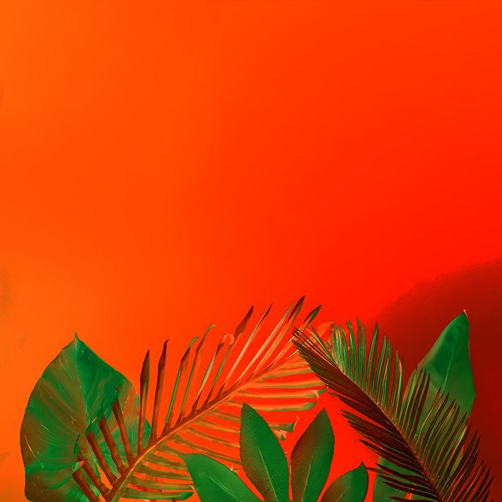 baskılı fon perde turuncu arka plan etkili palmiye yaprak desenli